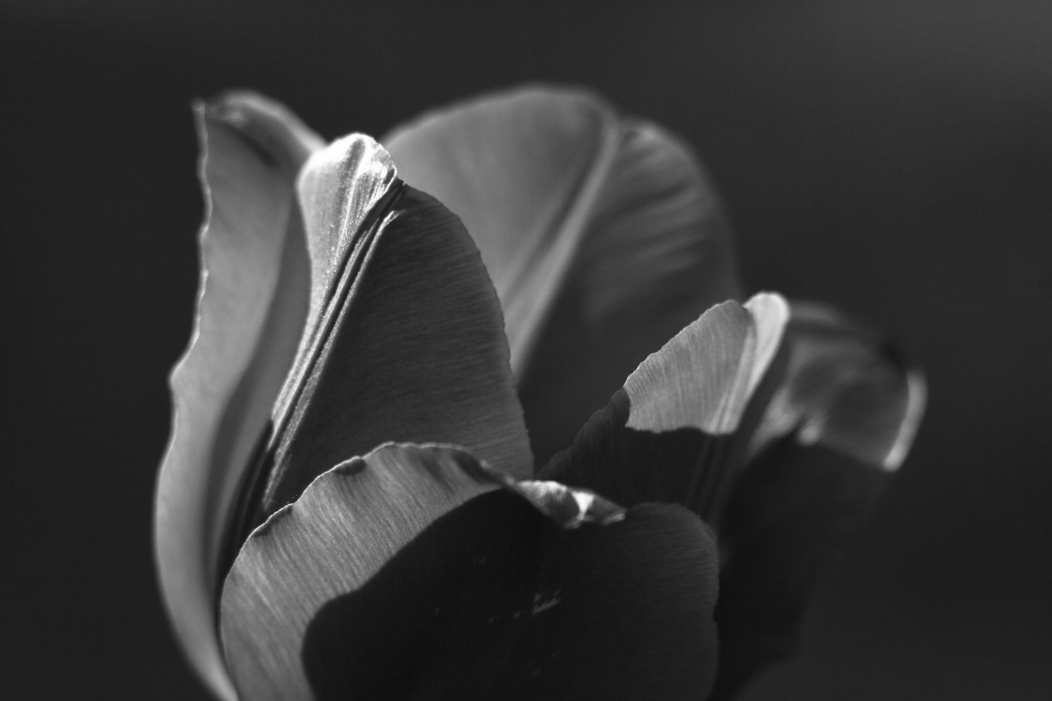 2015 05 10 HTP 000051721ebw